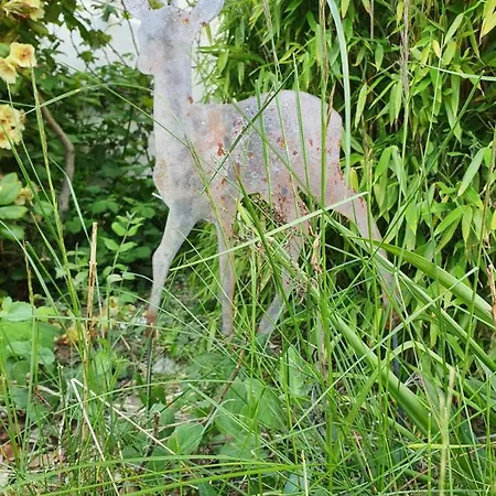 Feriestedet Skovly Appartement Klemensker
